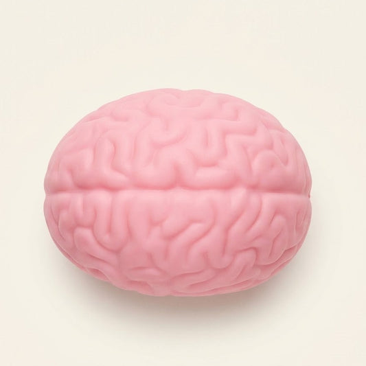 Giant Brain Squishy – Jumbo Halloween Gag Gift | SQUU